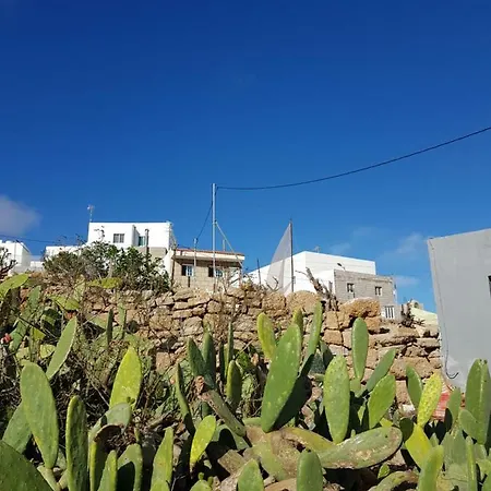 بيت للعطل Casa Tipica Canaria Arico Viejo